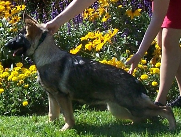 Della